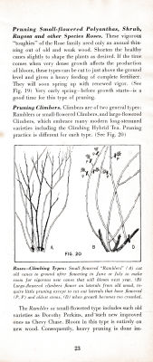 page 27 thumbnail