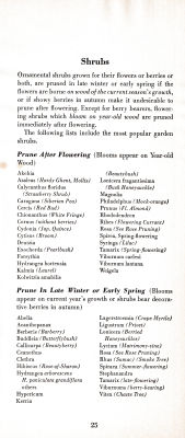 page 29 thumbnail