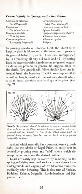 page 30 thumbnail