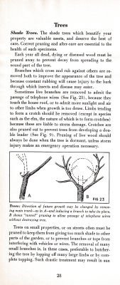 page 32 thumbnail