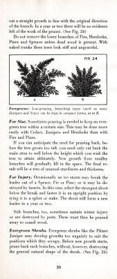 page 34 thumbnail