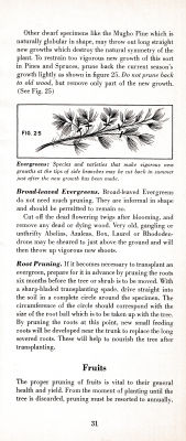 page 35 thumbnail