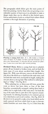 page 36 thumbnail
