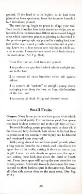 page 37 thumbnail