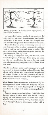 page 38 thumbnail