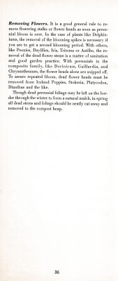 page 40 thumbnail