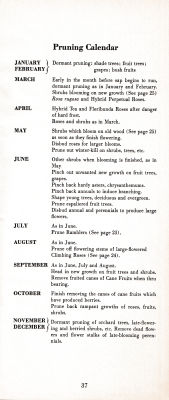 page 41 thumbnail