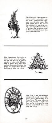 page 43 thumbnail