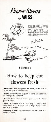 page 44 thumbnail