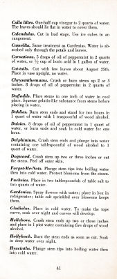 page 45 thumbnail