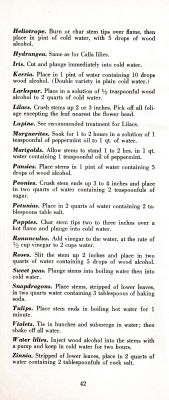 page 46 thumbnail
