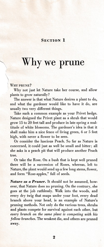 The Wiss Guide to Better Pruning (1965): Page 6