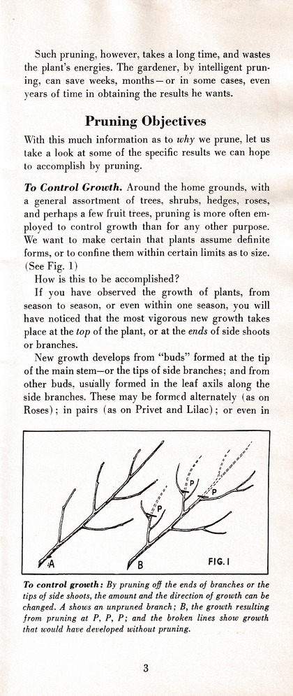 The Wiss Guide to Better Pruning (1965): Page 7