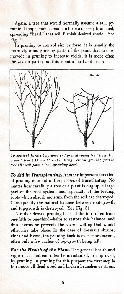 The Wiss Guide to Better Pruning (1965): Page 10