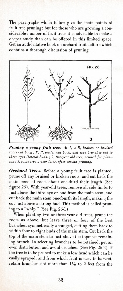 The Wiss Guide to Better Pruning (1965): Page 36