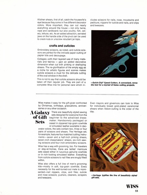 page 13 thumbnail