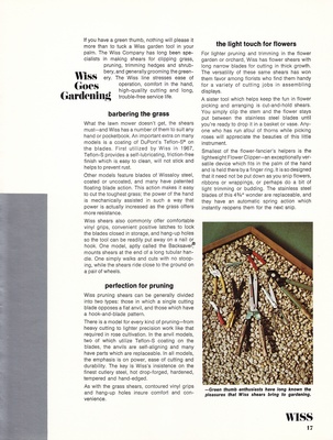 page 17 thumbnail