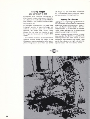 page 18 thumbnail
