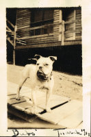 page 051 thumbnail