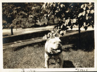 page 080 thumbnail