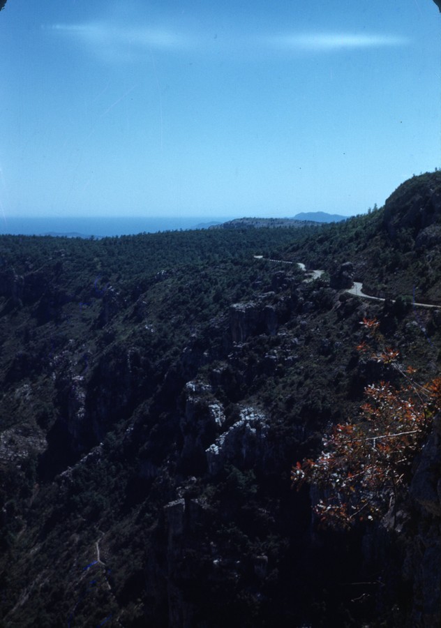15 Above Monte Carlo