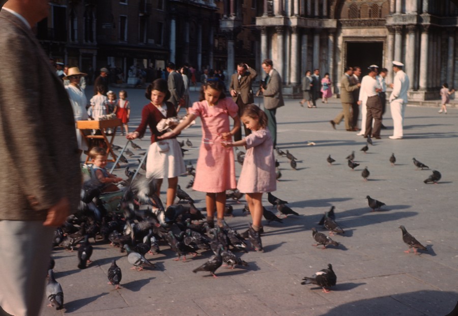 50 St Marks Square Venice