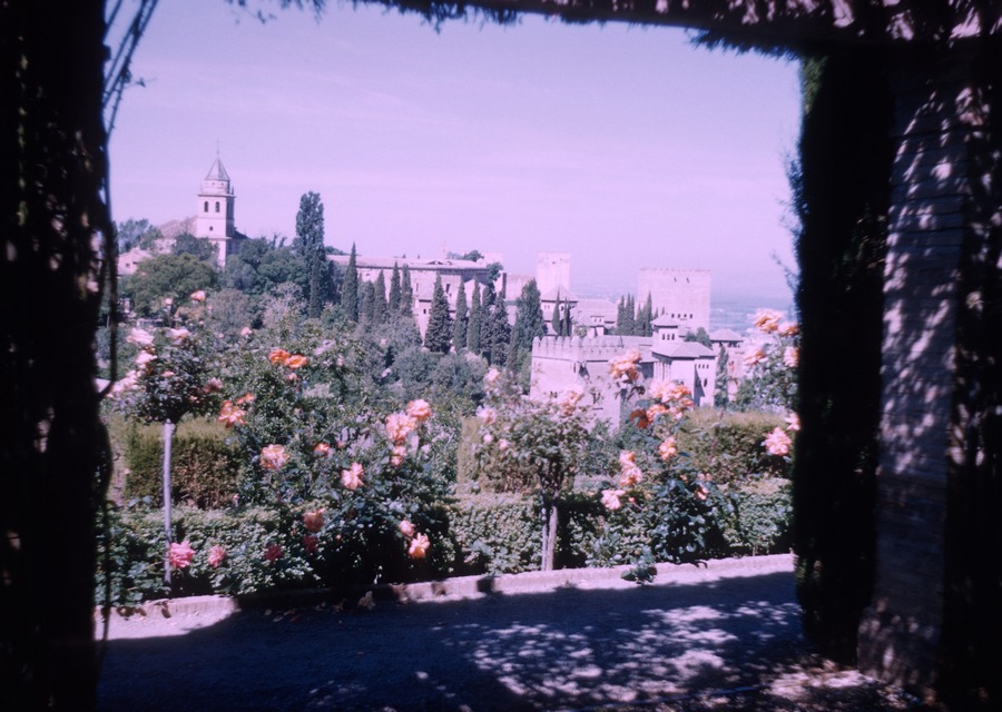 9 view from Generalife Gardens