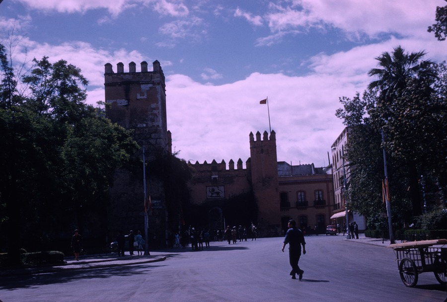 25 Royal Alcazar Seville
