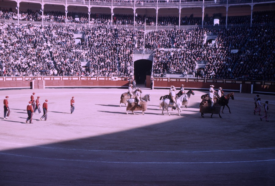 39 bull fight
