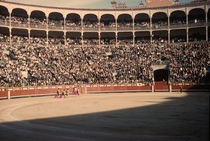 42 Bull Fight