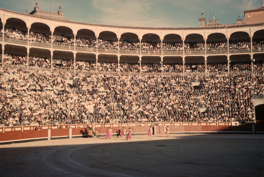 43 bull fight