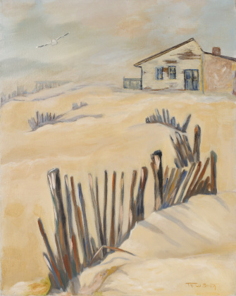 sand dunes snow fence