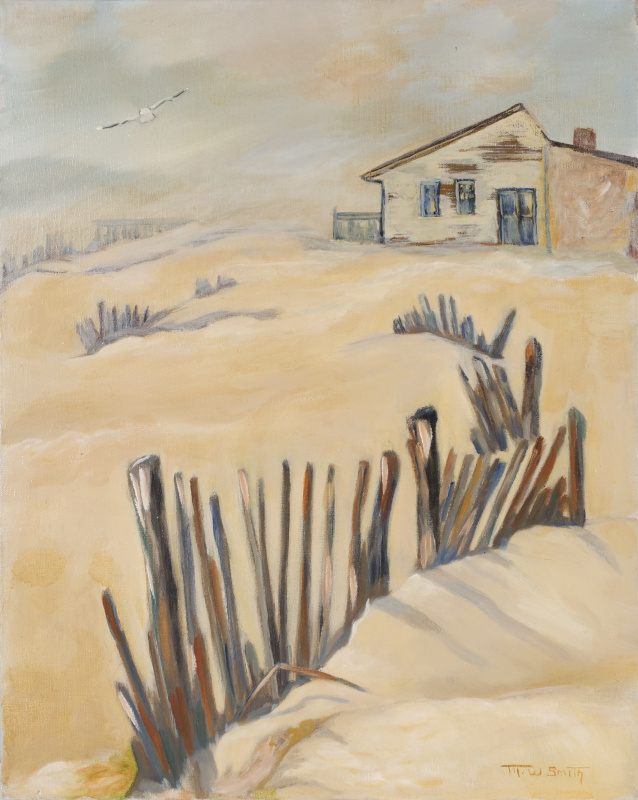 sand dunes snow fence