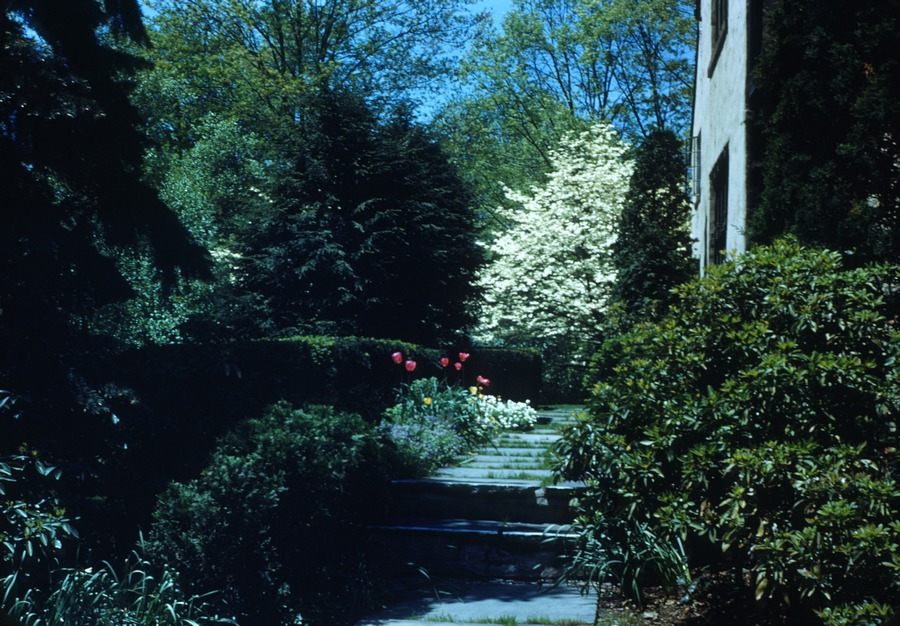 Oaklawn Rd front walk 1950 1
