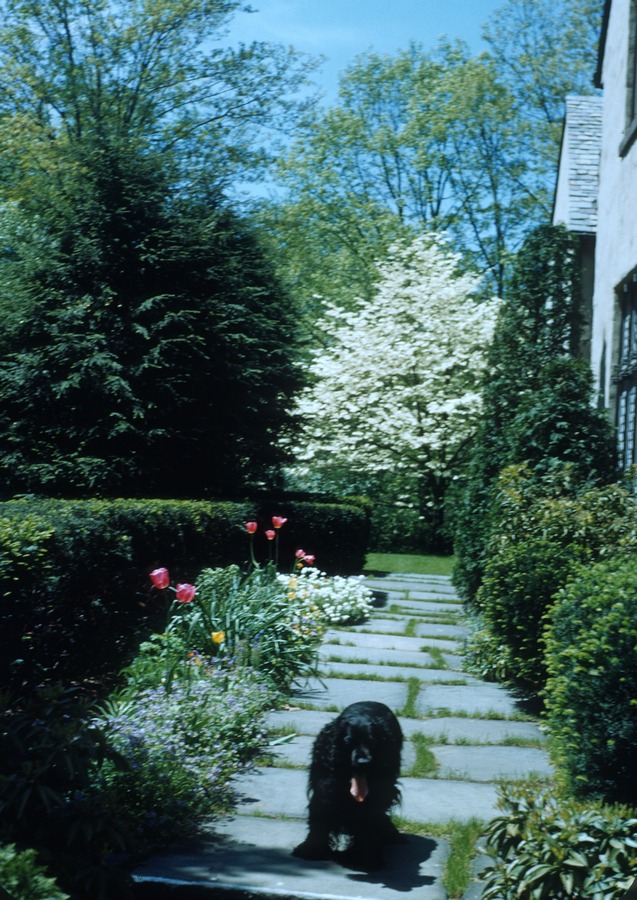 Oaklawn Rd front walk 1950 2 with Gay