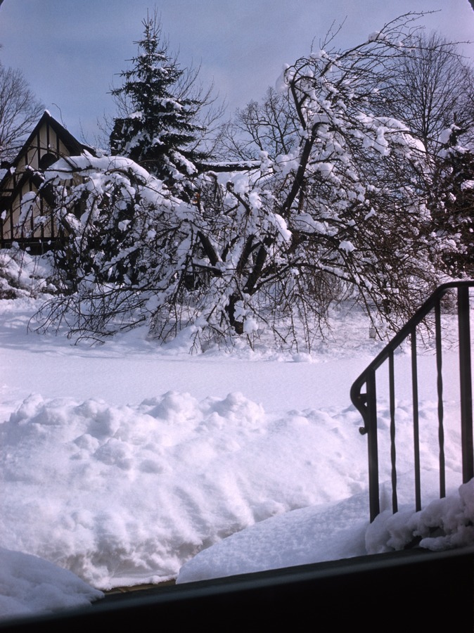 Spring Snow 1958 1
