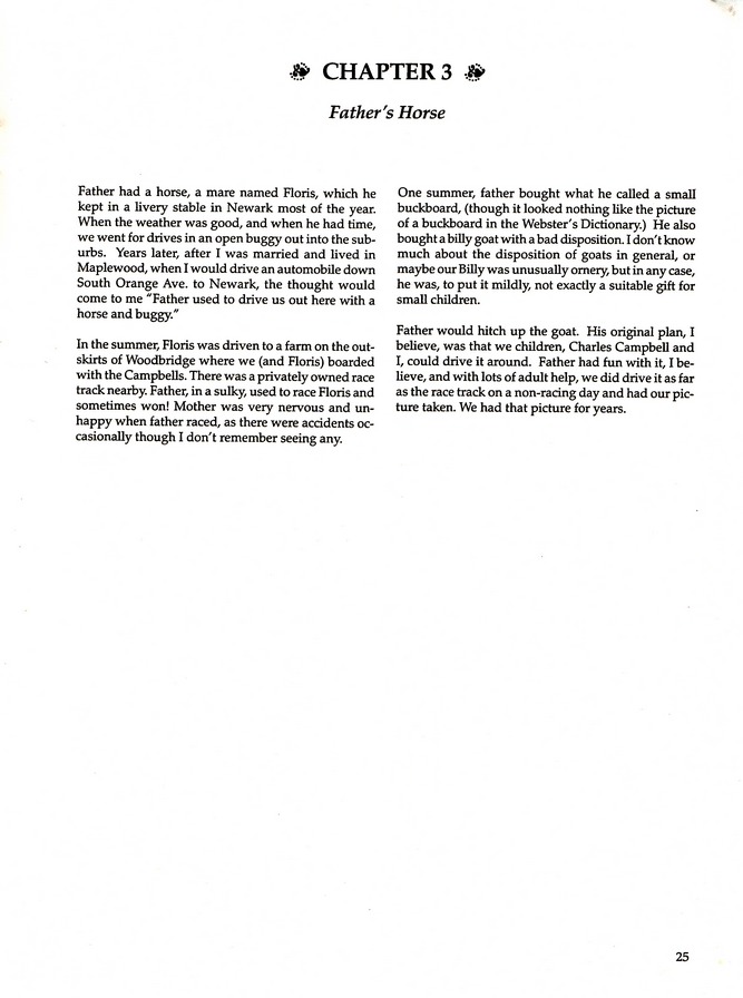 During My Lifetime, by Gretchen Wiss Sinon: Page 25