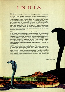 page 41 thumbnail