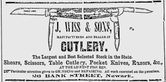Newark-Sunday-Call-1881-01-02
