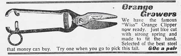 Tampa-Trib-1912-08-18b