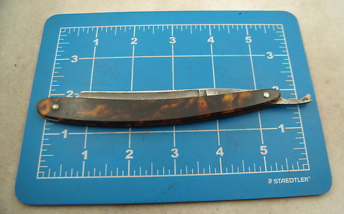 flat tortoise shell 1