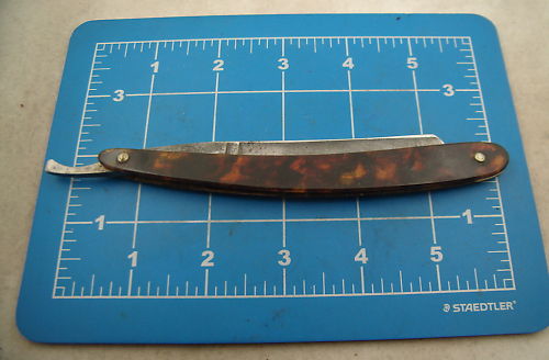 flat tortoise shell 2