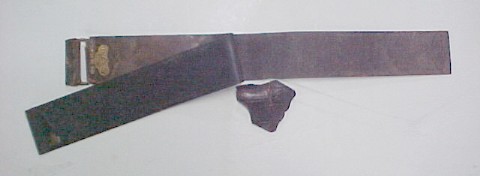 strop Scotch Shell 3