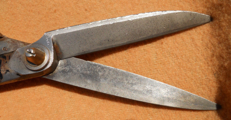 5N 10