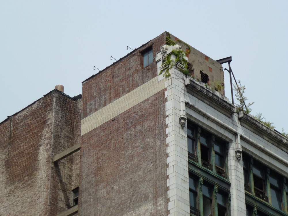 Cornice Detail 2012