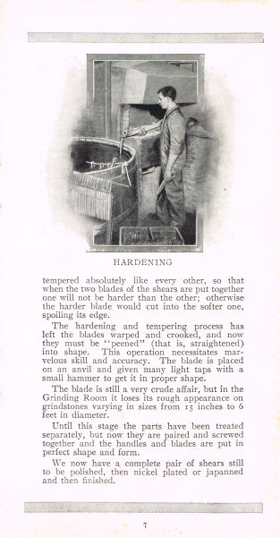 page 07 thumbnail