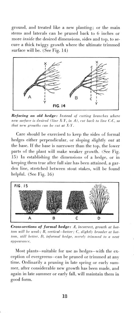 How to Prune for Better Flowers, Shrubs, Trees and Fruits: Page 20
