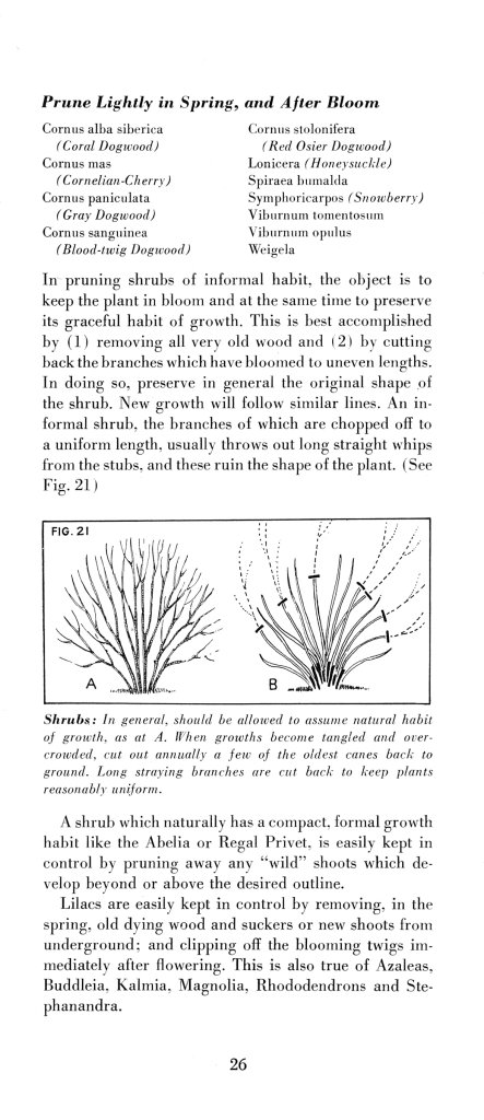 How to Prune for Better Flowers, Shrubs, Trees and Fruits: Page 28
