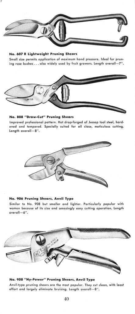 How to Prune for Better Flowers, Shrubs, Trees and Fruits: Page 42